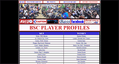 Desktop Screenshot of profile.blacksoftballcircuit.com